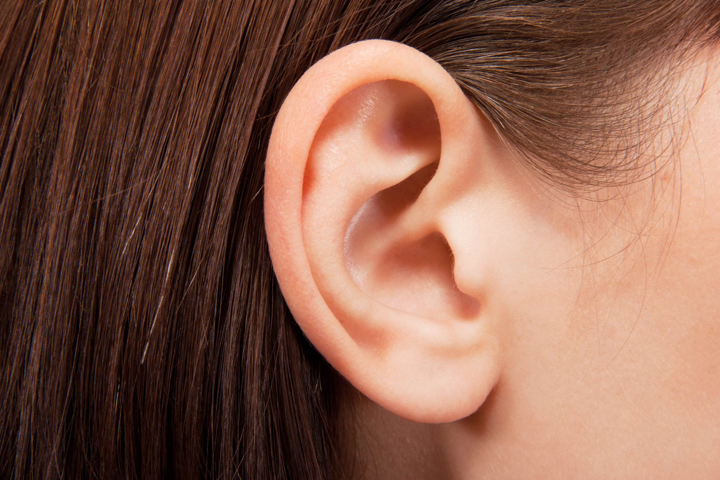 Human,Ear,Closeup